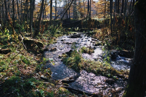 Уюновский водопад южно сахалинск фото