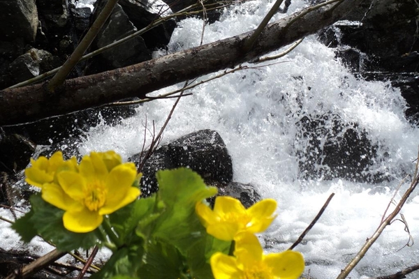 Уюновский водопад южно сахалинск фото